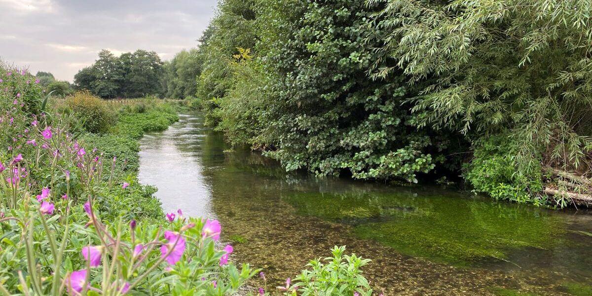 Citizen science e-newsletter