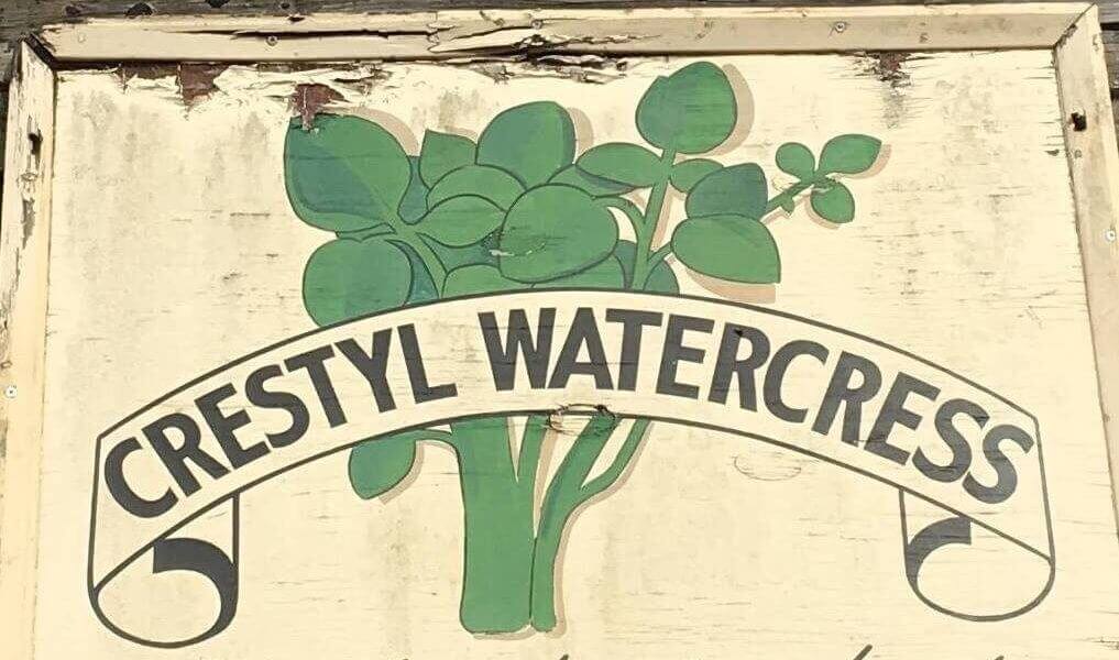 Take a trip through history