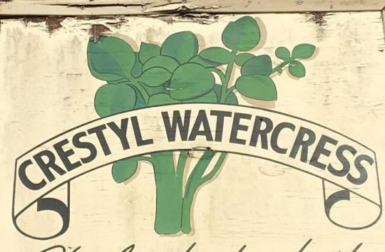 Take a trip through history