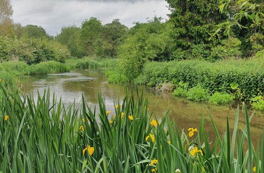 Health and wellbeing in the Chess Catchment