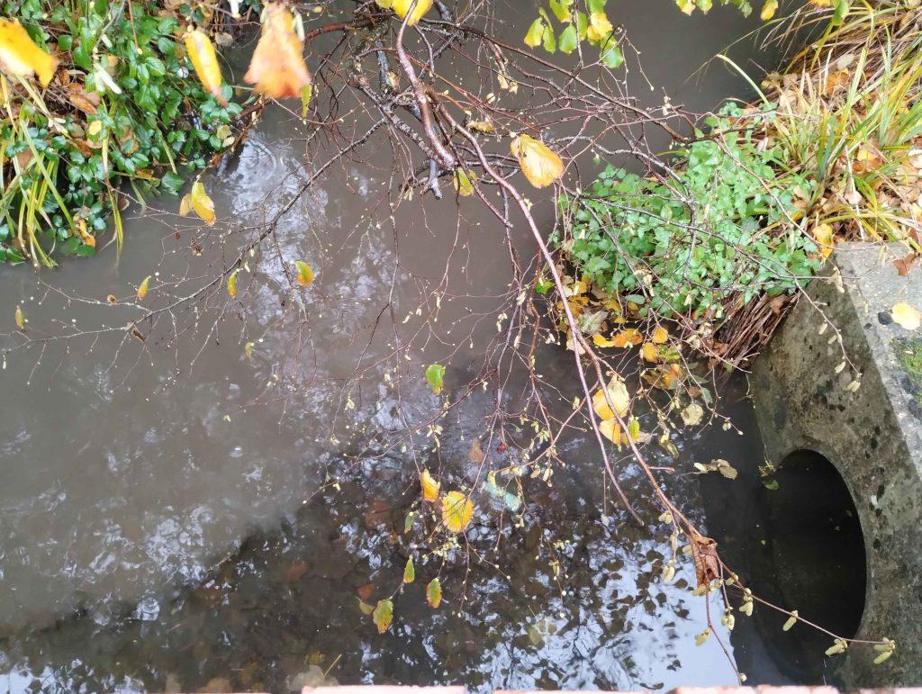 Photo of sediment in the river at Chesham