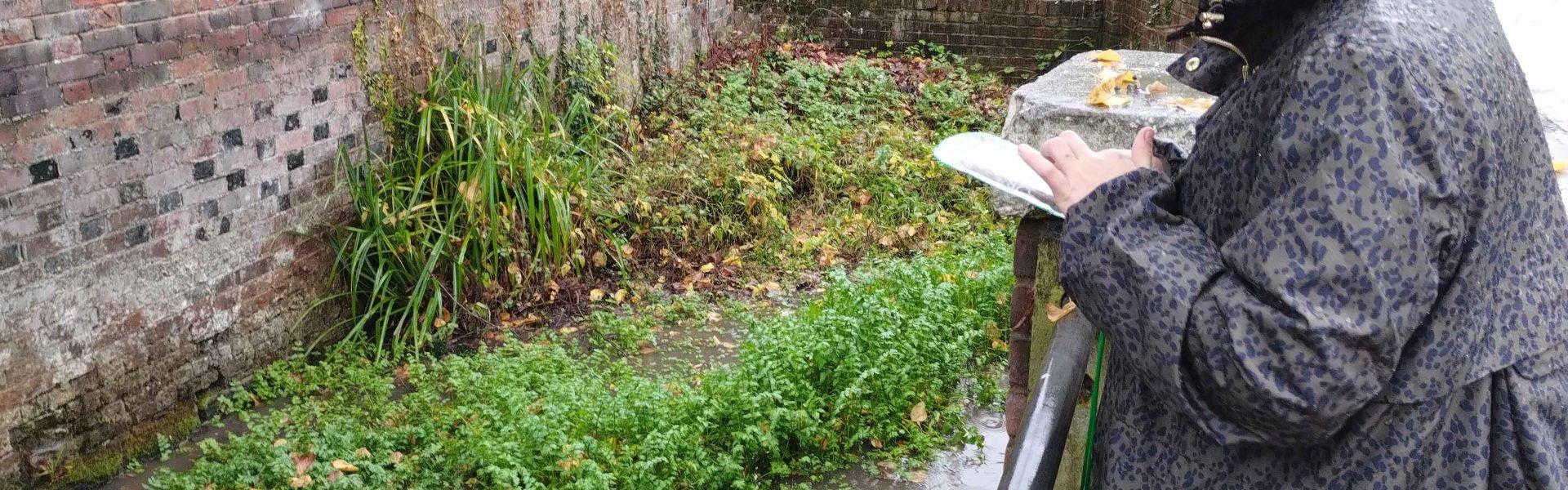 Water quality & quantity monitoring