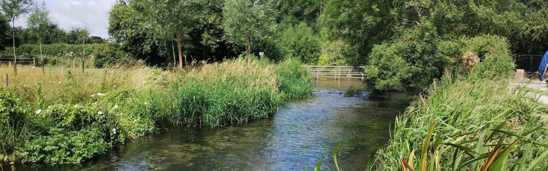 Water quality sensors