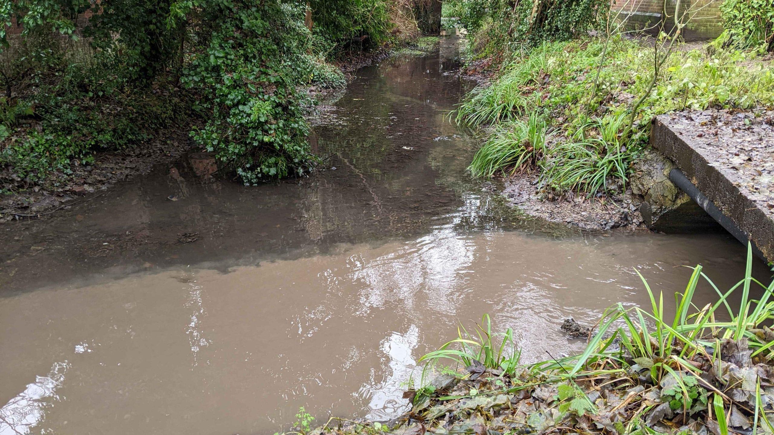 Vale Brook Culvert