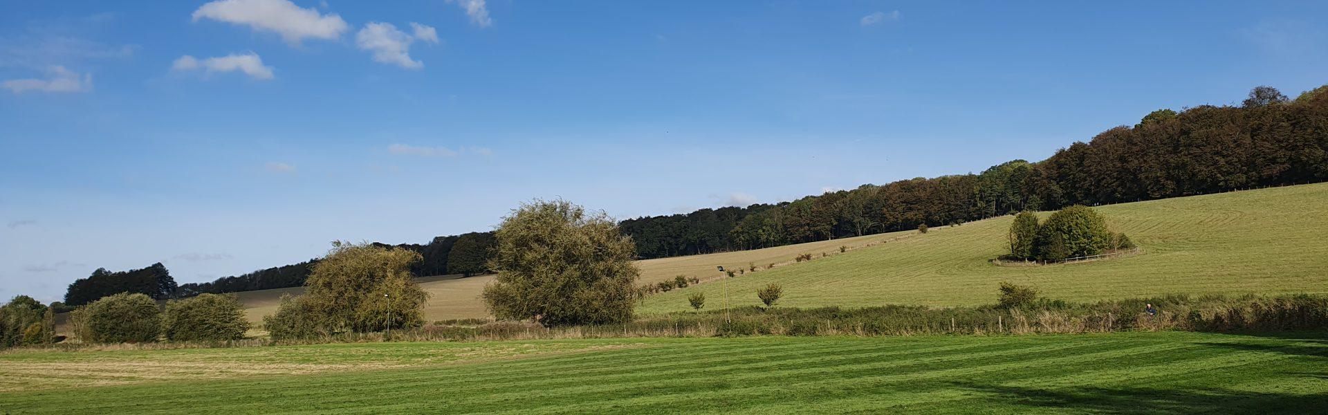 Grants and funding opportunities