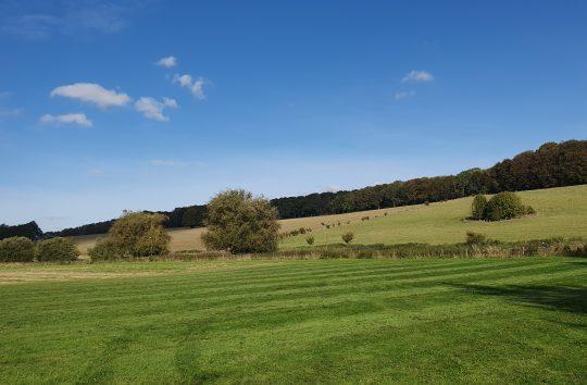 Grants and funding opportunities