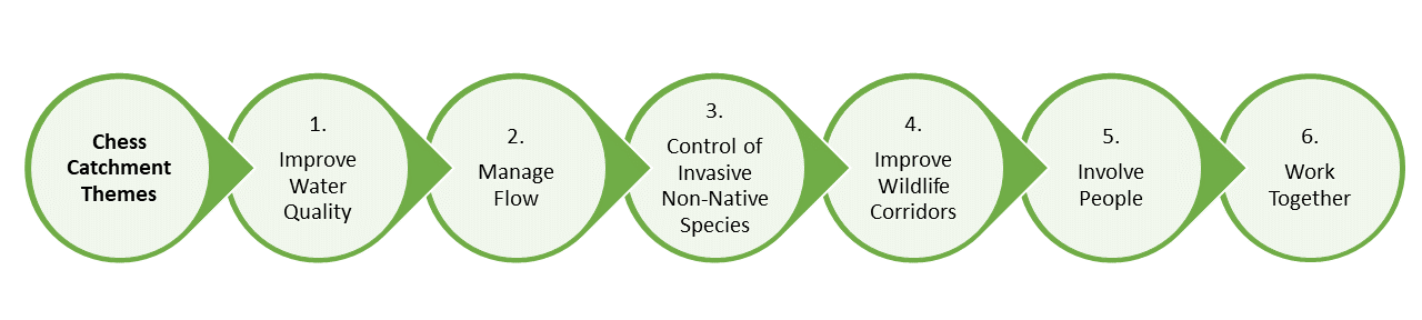 Chess Catchment Themes