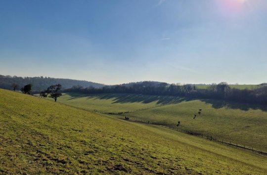 Farming in the Chess Catchment