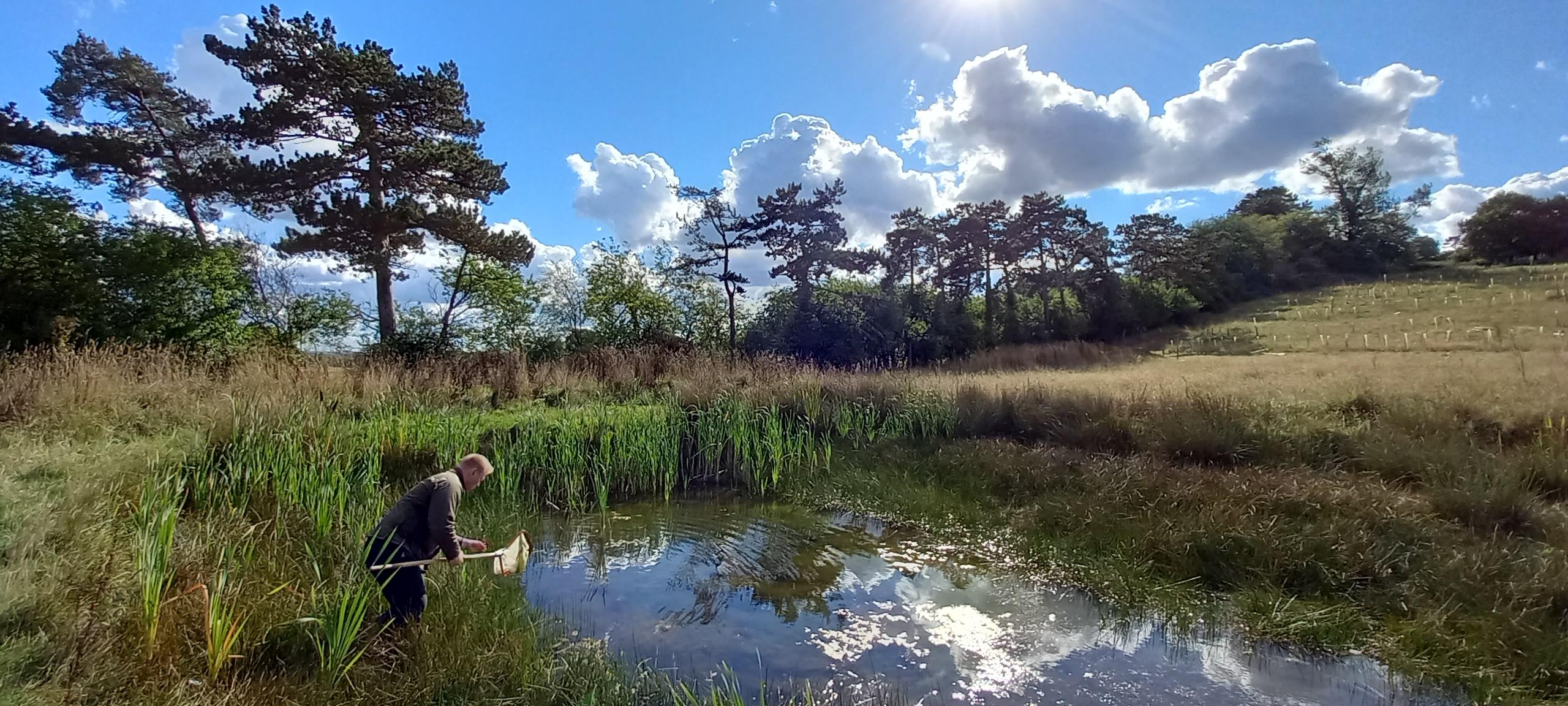 Amphibians and Reptiles Survey