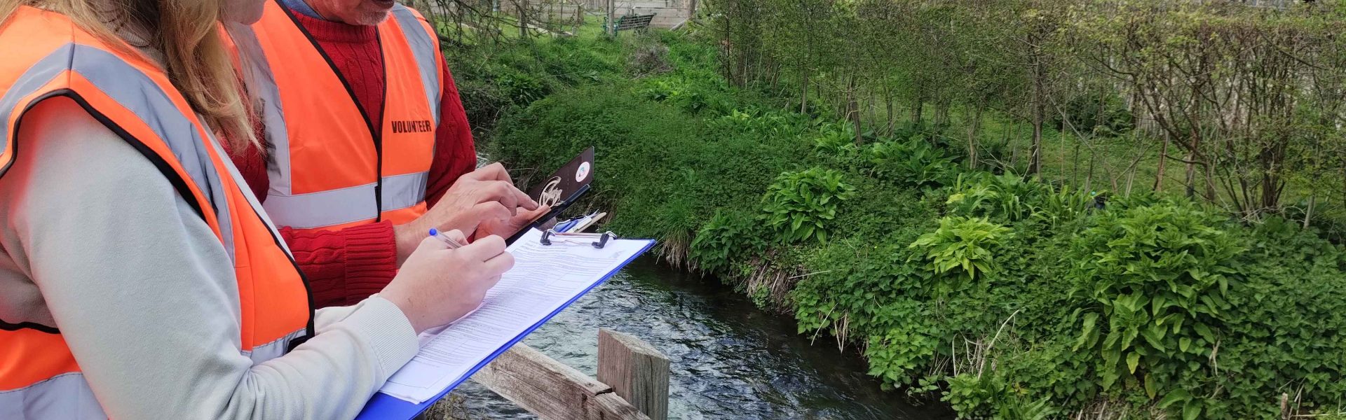 Citizen science portal