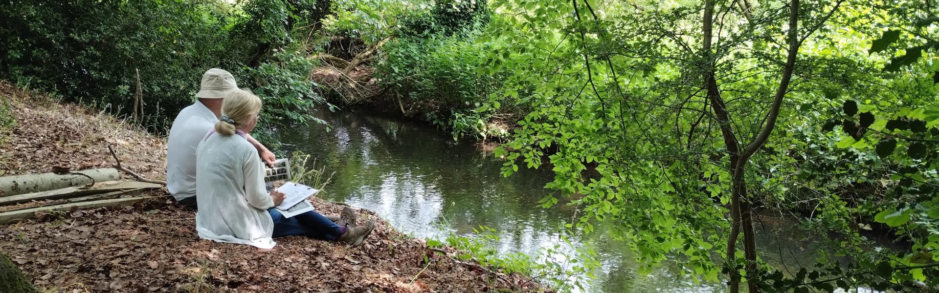 Modular River Survey