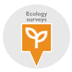 Ecology logo 2