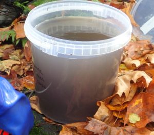 Suspended sediment collection in bucket