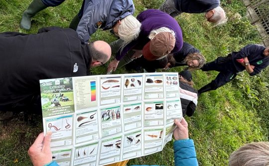 RiverFly Boxmoor-Bulbourne October 2024 6