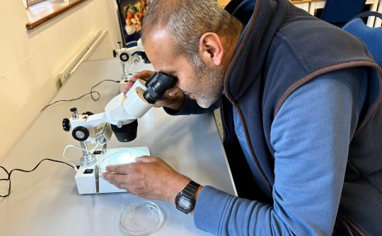 Riverfly Training October 2024- 27