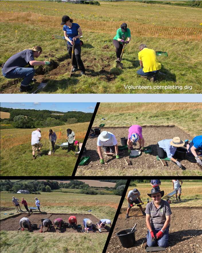 Screenshot 2024-12-10 121707