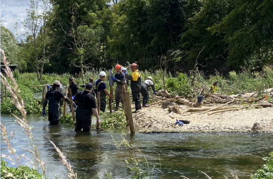 Screenshot 2024-12-10 124957