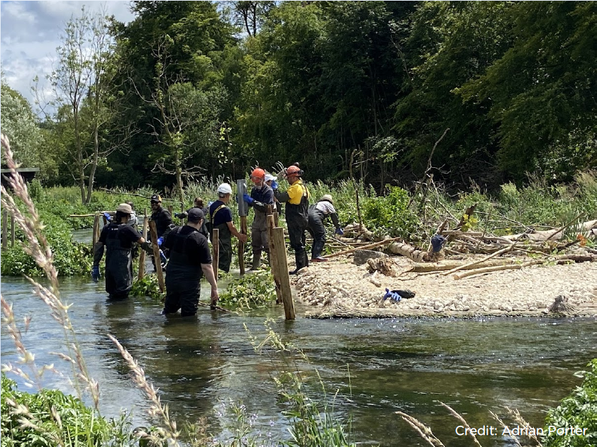 Screenshot 2024-12-10 124957