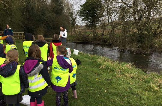 Schools-trout-release-scaled