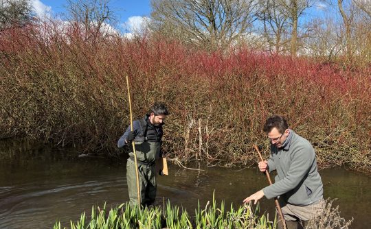 Watervole training