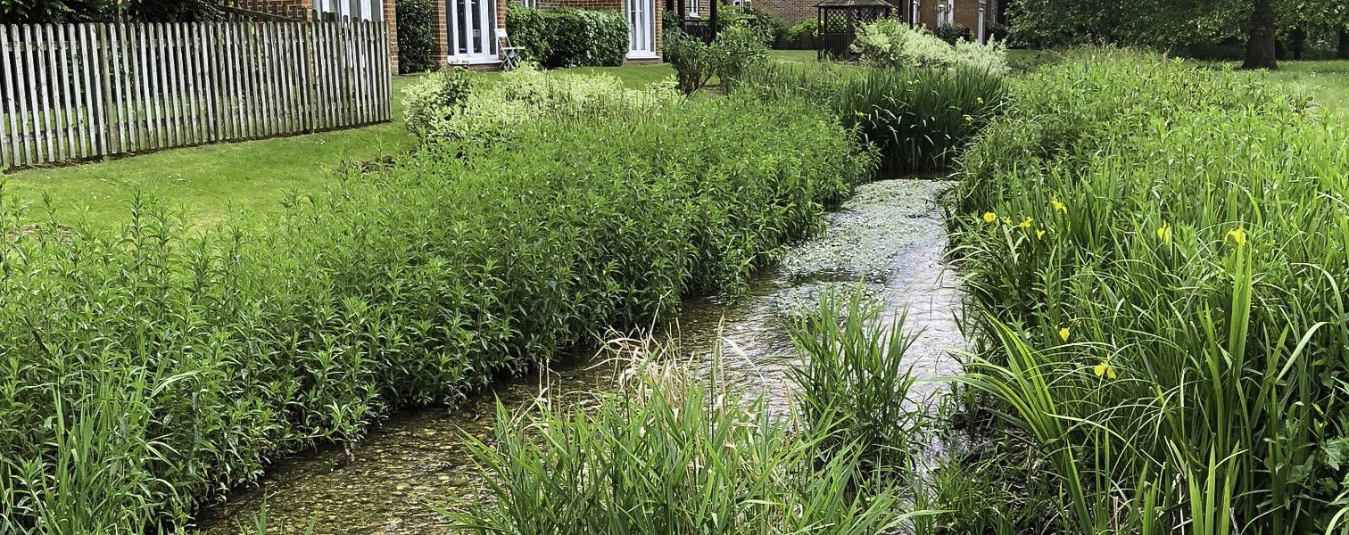 Chilterns Chalk Streams Planning Guidance