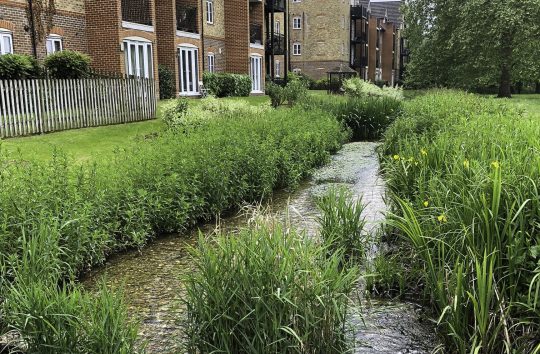 Wye development good buffer option 2