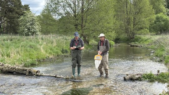 SmartRivers Results for the Chess